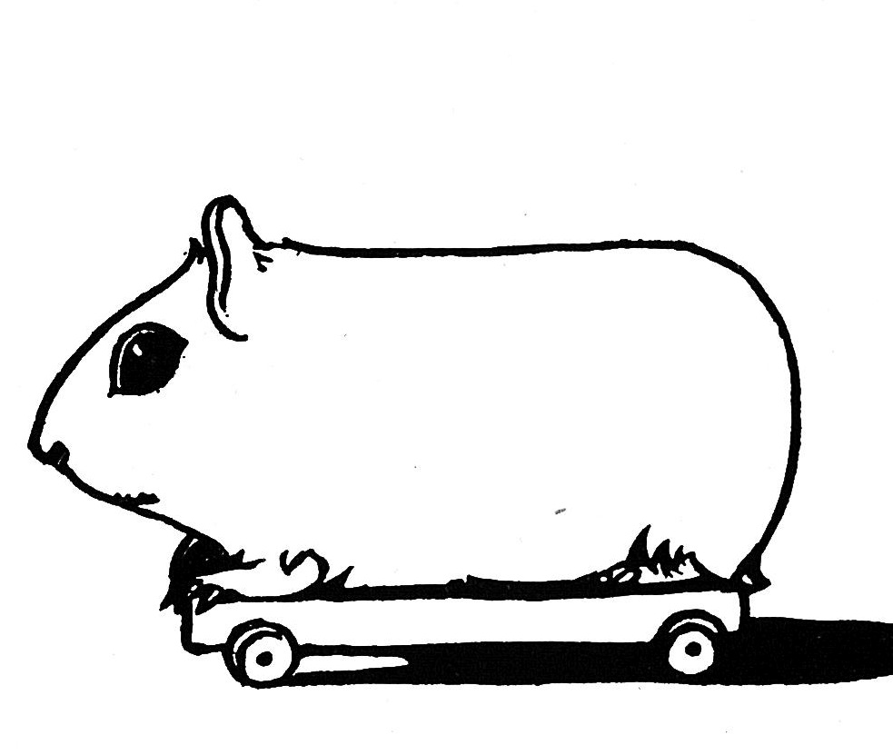 guinea pig riding a skateboard